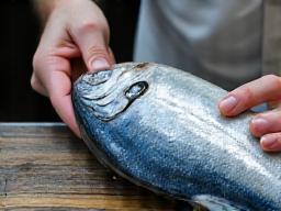 熟練の漁師が新鮮な魚を手にしている